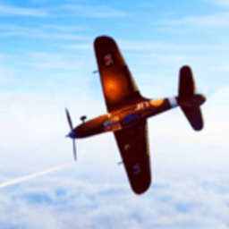 新葡萄娱乐app手机版下载-新葡萄娱乐app二战游戏下载 v1.2 安卓版