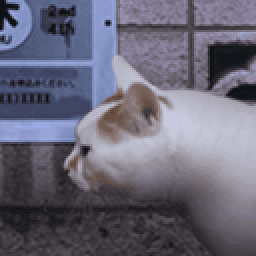 澳门金沙手机版之怪奇谭官方正版下载-澳门金沙手机版之怪奇谭手机版下载 v1.0 安卓正版